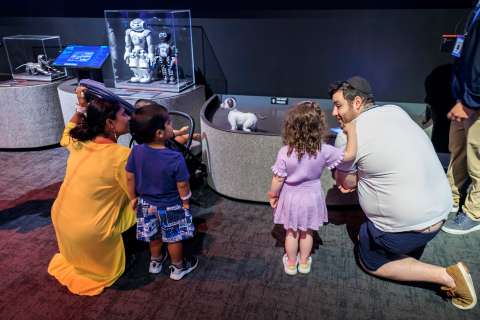Viajar con niños a Miami: consejos, lugares imperdibles y experiencias únicas