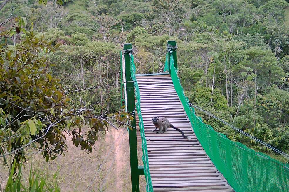 Infraestructura que conecta territorios y protege la biodiversidad