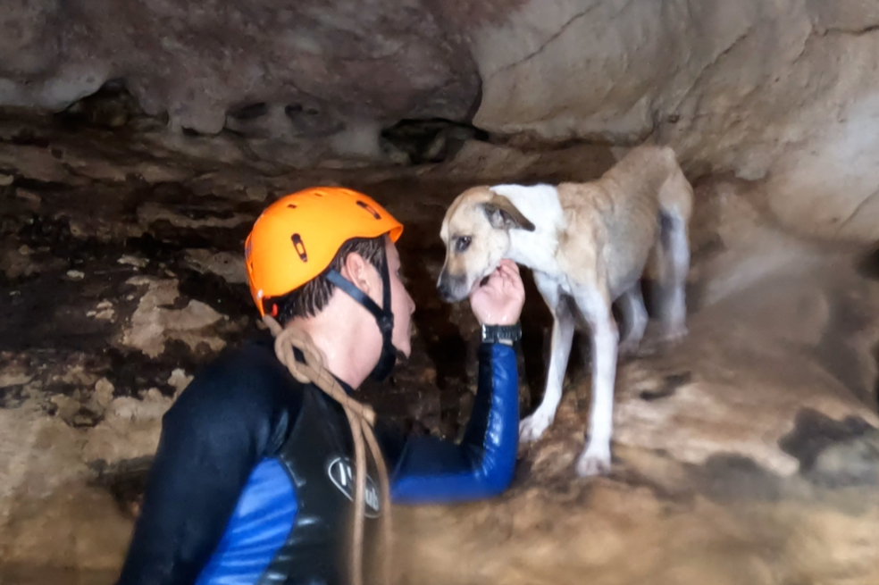 Perrita rescatada