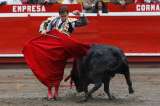 Corridas de toros son una expresión artística: Corte Constitucional