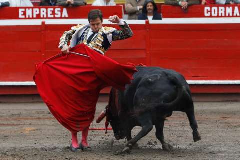 Corridas de toros son una expresión artística: Corte Constitucional