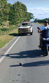 Ataque con explosivo a una patrulla policial en Antioquia