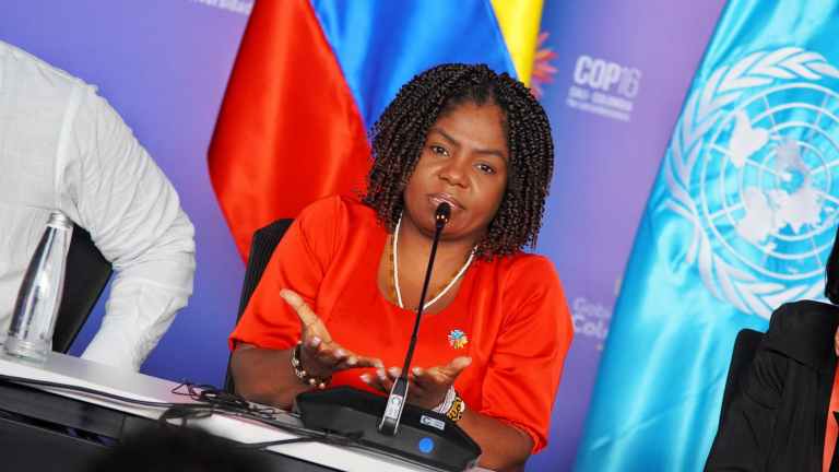 ¿Qué es ser afro? La discusión entre Colombia y países africanos en la COP16