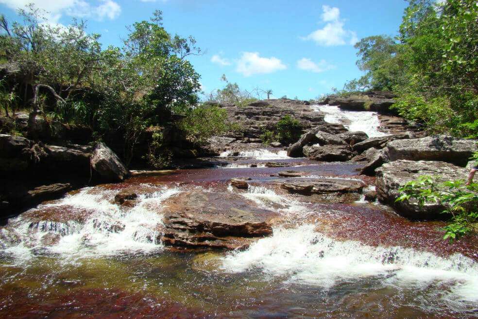 Caño Cristales es uno de los destinos ecoturísticos más conocidos del país.  / PNN