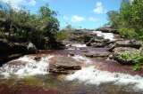 Se abren dos senderos más para la actividad ecoturística en Caño Cristales