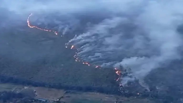El incendio ocurre en la vereda Carrizal. Ya hay bomberos en el lugar.
