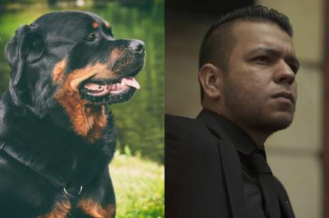 “Nunca estaría de acuerdo con el sacrificio de los animales”: Jota Pe Hernández