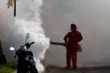 Cambio climático, el invitado no esperado en la epidemia del dengue
