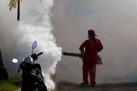 Cambio climático, el invitado no esperado en la epidemia del dengue