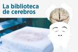 Así se crea la biblioteca de cerebros