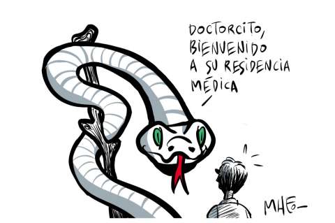 Alto turmequé: sin táctica