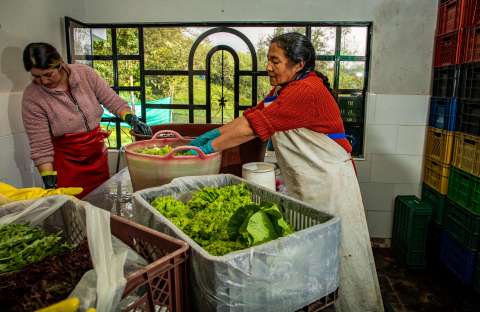 Mercados campesinos aportan a reducción de inseguridad alimentaria en Bogotá