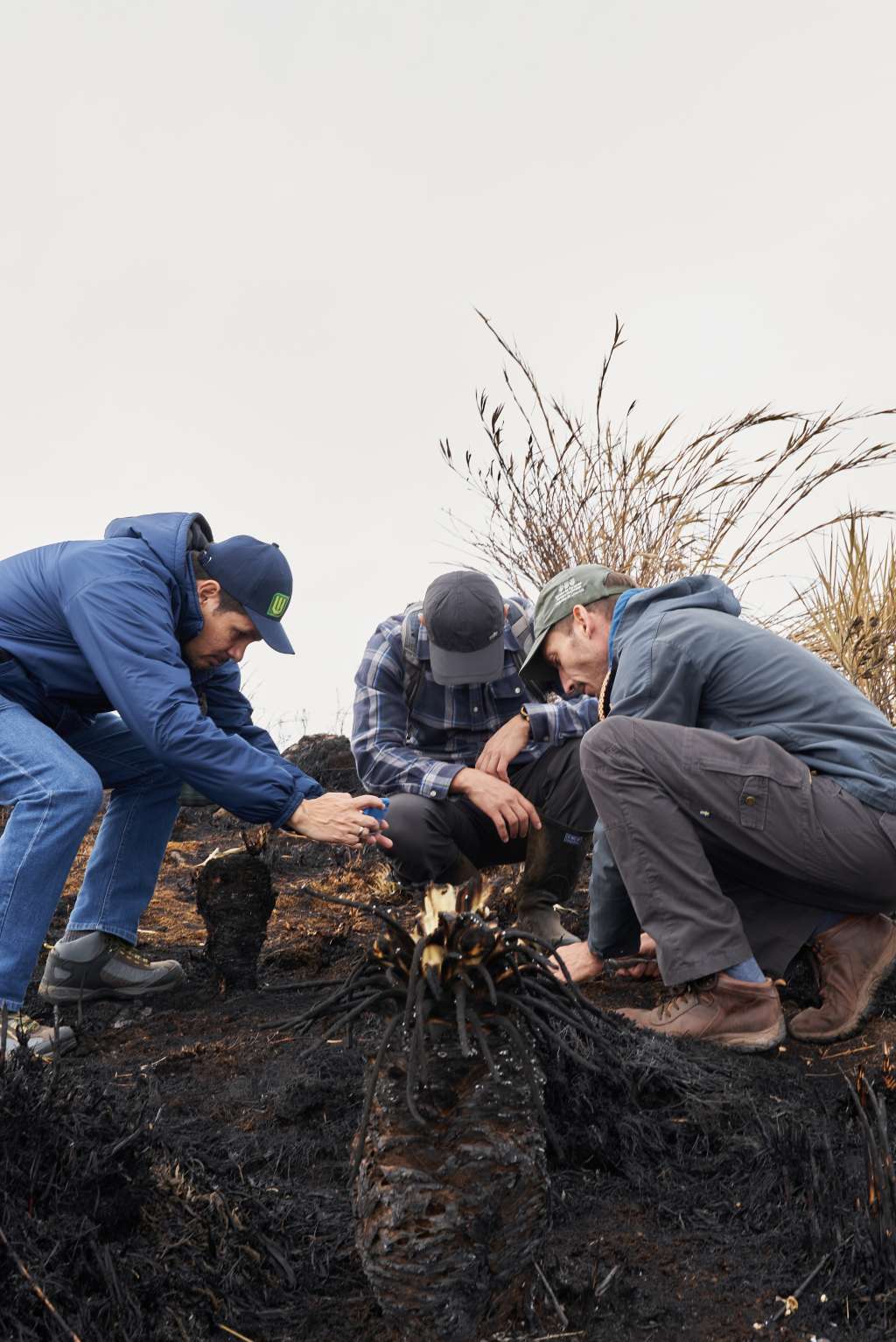 Investigadores de la UIS visitaron la zona afectada por el incendio. /UIS.
