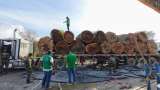 Operativo del Ministerio de Ambiente decomisa madera ilegal que se dirigía a Bogotá
