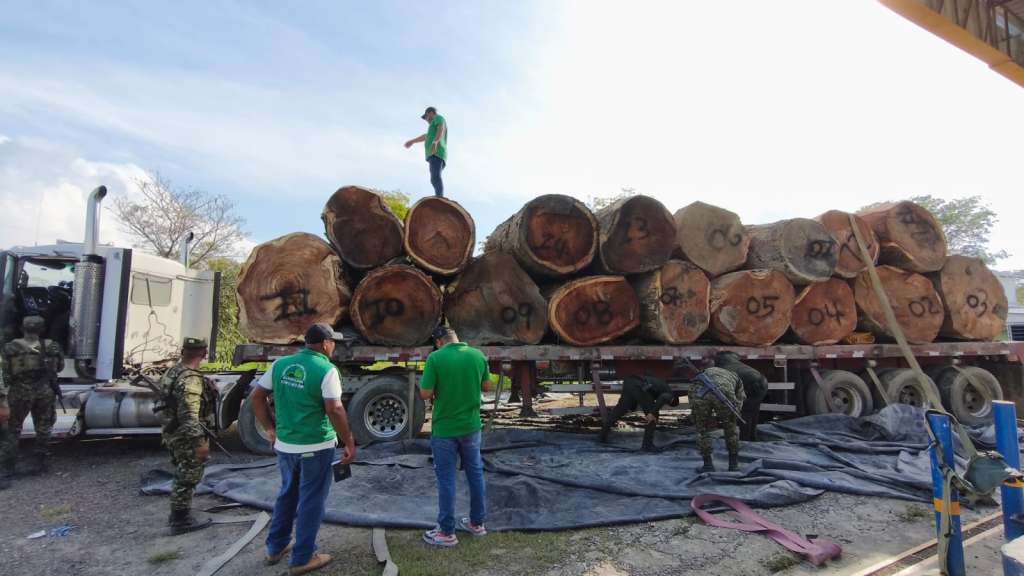 En un trabajo articulado con 37 autoridades ambientales y la Fuerza Pública, se decomisaron más de 294.000 metros cúbicos de madera ilegal. /Minambiente.