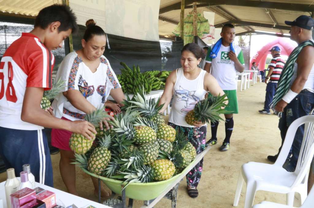 En medio de la conmemoración se han expuesto los productos agrícolas de los excombatientes. CortesíaCortesía Comunicaciones FarcEn la tarde del 23 de noviembre hubo presentaciones de bailes típicos del país a cargo de hijos e hijas quienes estuvieron en la guerra, así como de niños y niñasde veredas cercanas a los espacios de reincorporación. Incluso, en horas de la noche, decidieron apoyar el paro nacional con un cacerolazo.