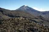 El PNN Los Nevados tendrá dos nuevos senderos ecoturísticos en Risaralda y Quindío