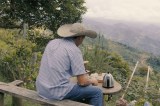 Comercio sostenible en las cadenas de suministro agrícolas en Colombia