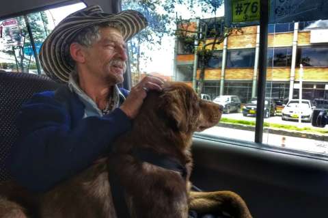 Abuelo maltratado en Bogotá dice que fue víctima del conflicto