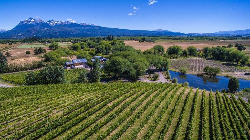 En Chubut y Malleco las comunidades han cultivado, bajo la estela del intenso frío, productos hortícolas y frutícolas como fresas, frambuesas, ciruelas, arándanos, cerezas, manzanas, peras, avellanas y kiwi.