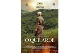 Sobre "O que arde"