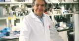 Determinan que hubo plagio en trabajo de laboratorio de investigación sobre cáncer