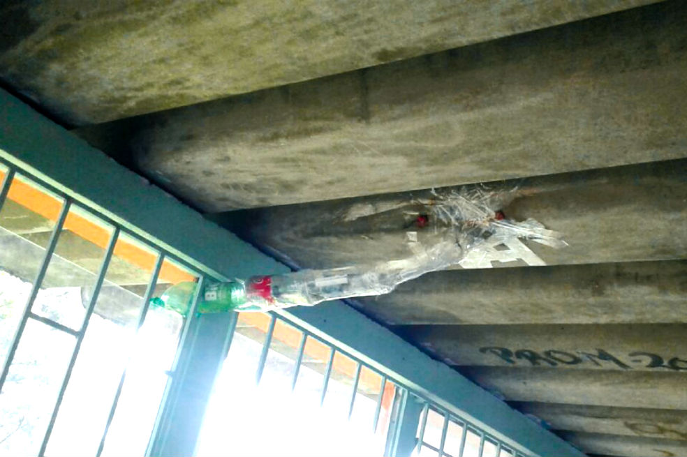 Foto: Cortesía.