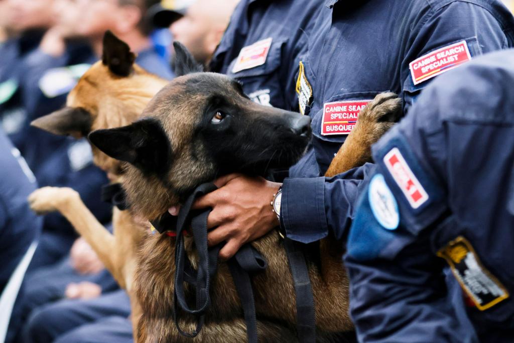 Perros de rescate en Venezuela: esto es lo que llevan en su maleta de emergencia