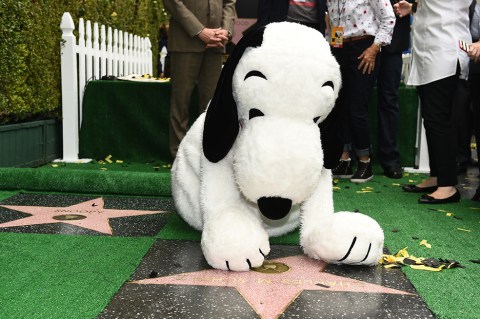 Snoopy recibe estrella en el Paseo de la Fama de Hollywood