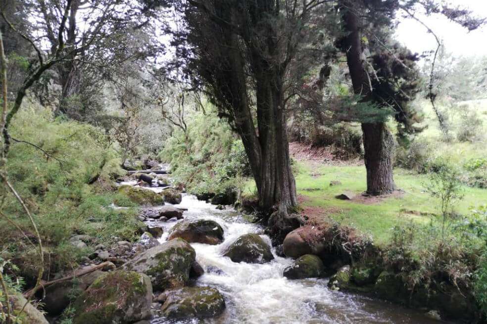 Quebrada Las Delícias, en la localidad de San Cristóbal, al suroriente de Bogotá. / Instituto Distrital de Turismo