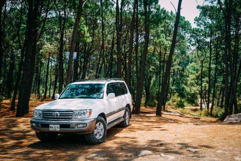 Video: ¿Qué es un 4×4 y cuáles son sus variantes?