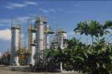 ¿Una sombra política sobre Ecopetrol?