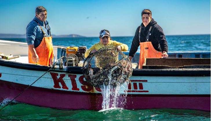 Dania Riquelme pescando cangrejos en Chile.