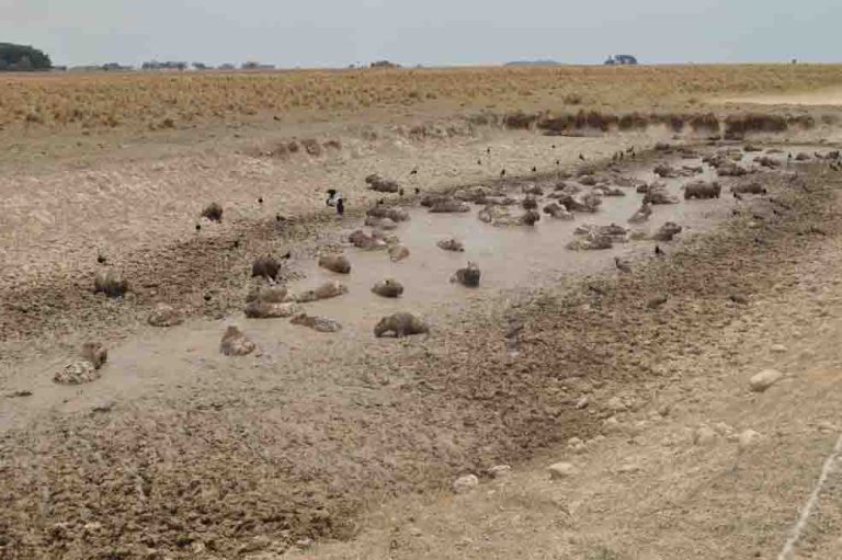Un clima cada vez más extremo