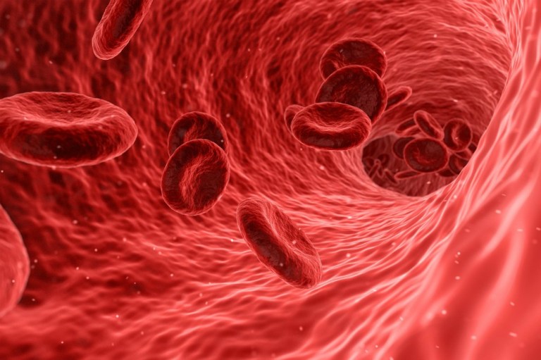 Descubren método para transformar sangre tipo A en O