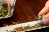 Peña Nieto rechazó que legalización de la marihuana facilite combate al crimen organizado