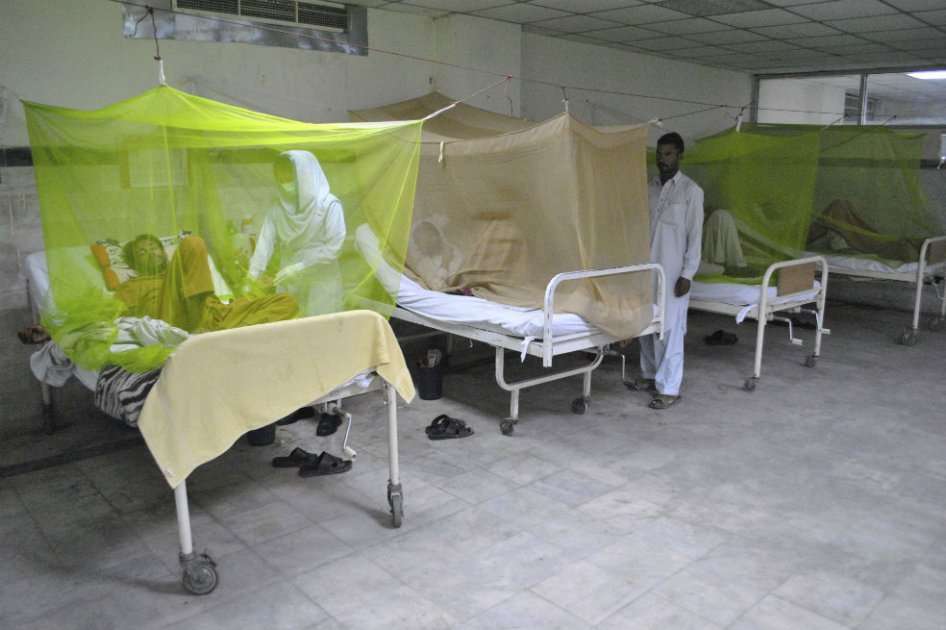 La chikungunya es una enfermedad transmitida por el mosquito Aedes aegypti, que también transmite el dengue. EFE