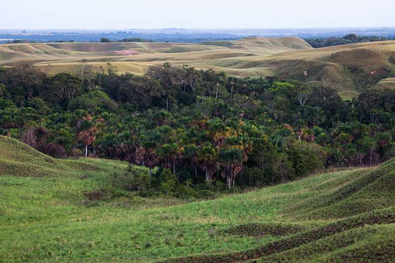 La ausencia de quemas en Mururito ha permitido recuperar las serranías y preservar los bosques de galería.