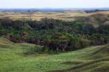 ¿Qué es la restitución de tierras y cómo se puede acceder a esta?