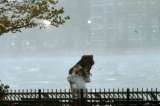 Sandy se convirtió en tormenta tropical