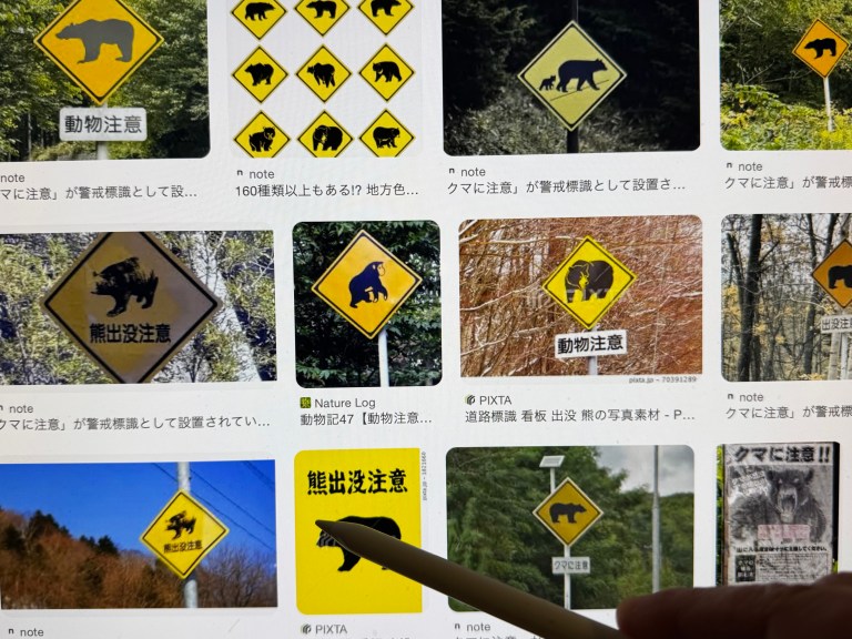 Torre de Tokio: osos empoderados