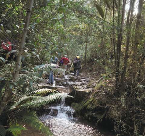 Alcaldía anuncia visitas programadas a la Quebrada La Vieja