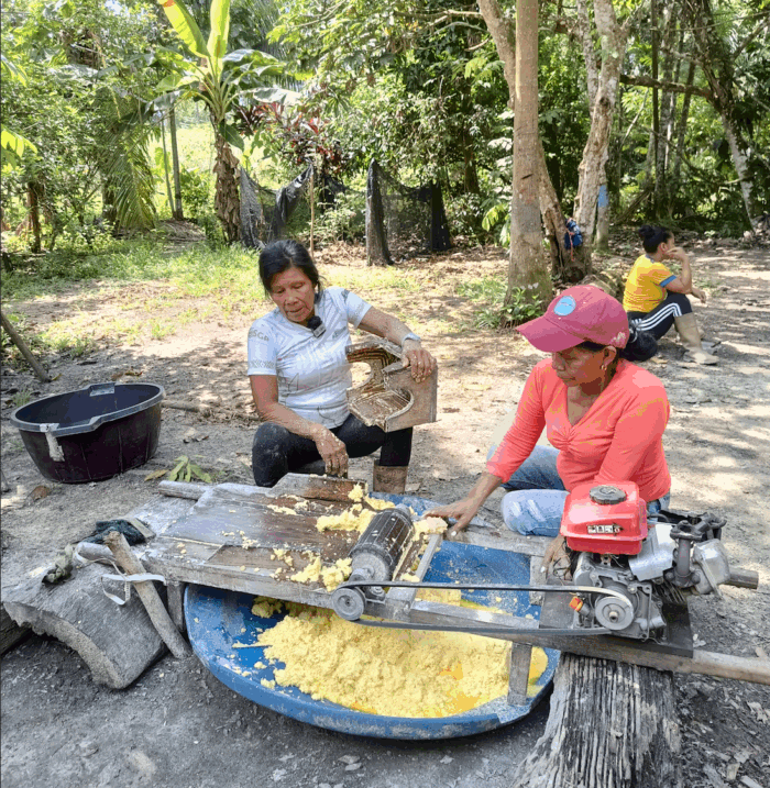 La caguana, legado de las mujeres murui que fortalece lengua y cultura amazónicas