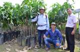 El Fondo Colombia Sostenible y su apuesta por la restauración ecológica participativa