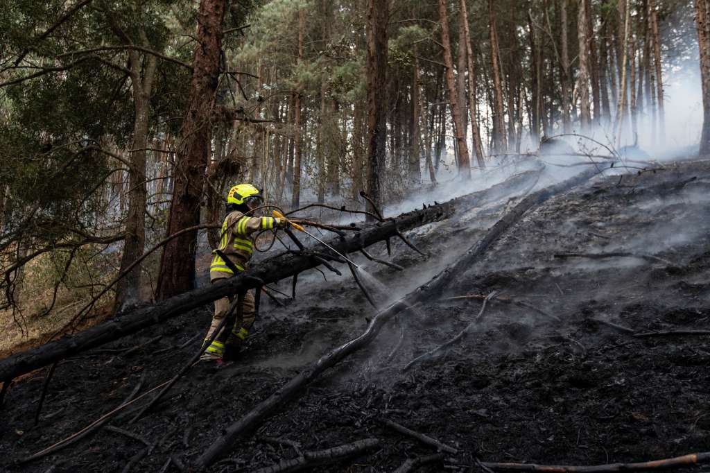 A firefighter combats the fire on burned vegetation during a forest fire in Bojaca, Colombia, on September 20, 2024.