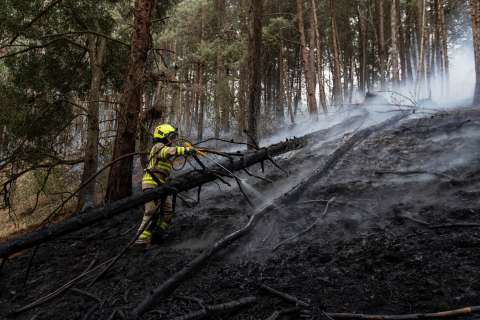 Incendios forestales en Colombia este 28 de septiembre: hay 8 activos y 3 apagados