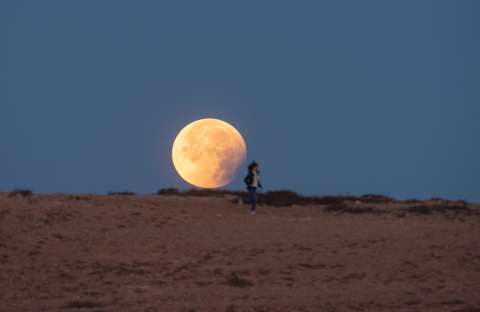 Calendario lunar en febrero 2023: fases lunares durante este mes