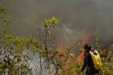Hay 16 incendios activos en el país este 25 de agosto; ocho están en Tolima, dice la UNGRD