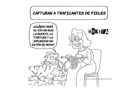 Capturan a traficantes de pieles