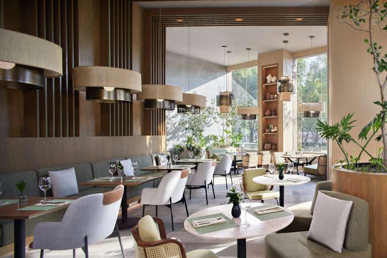En Sendero sus sentidos se despertarán para disfrutar de cada uno de los sabores y olores de las delicias gastronómicas que se sirven en este restaurante.